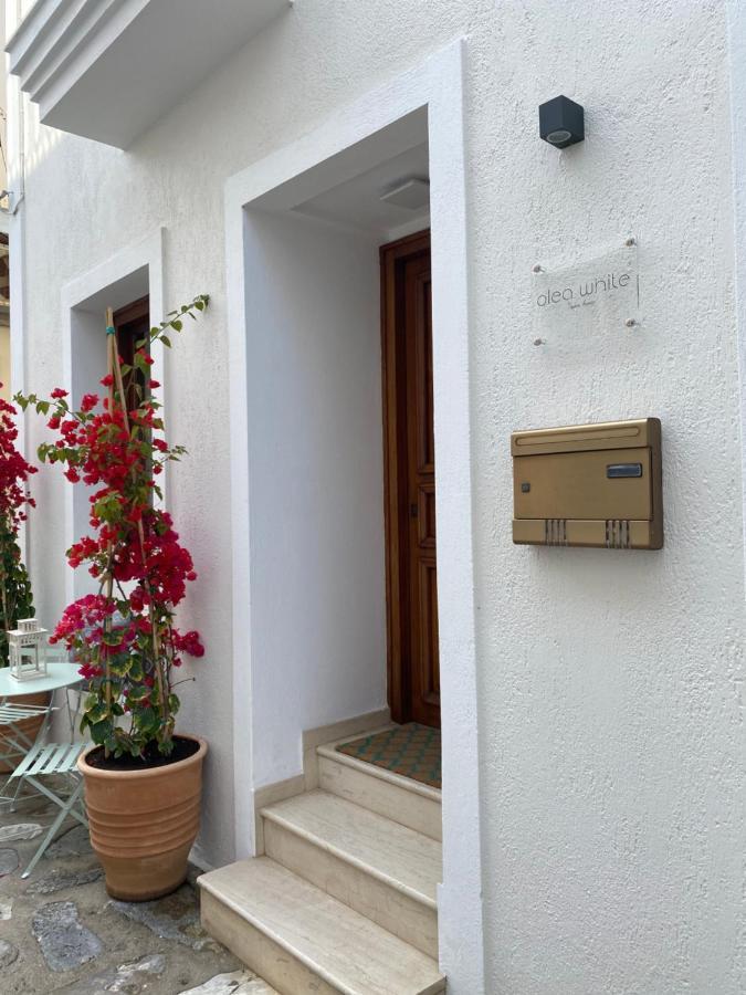 Olea White Villa Skiathos Exterior photo
